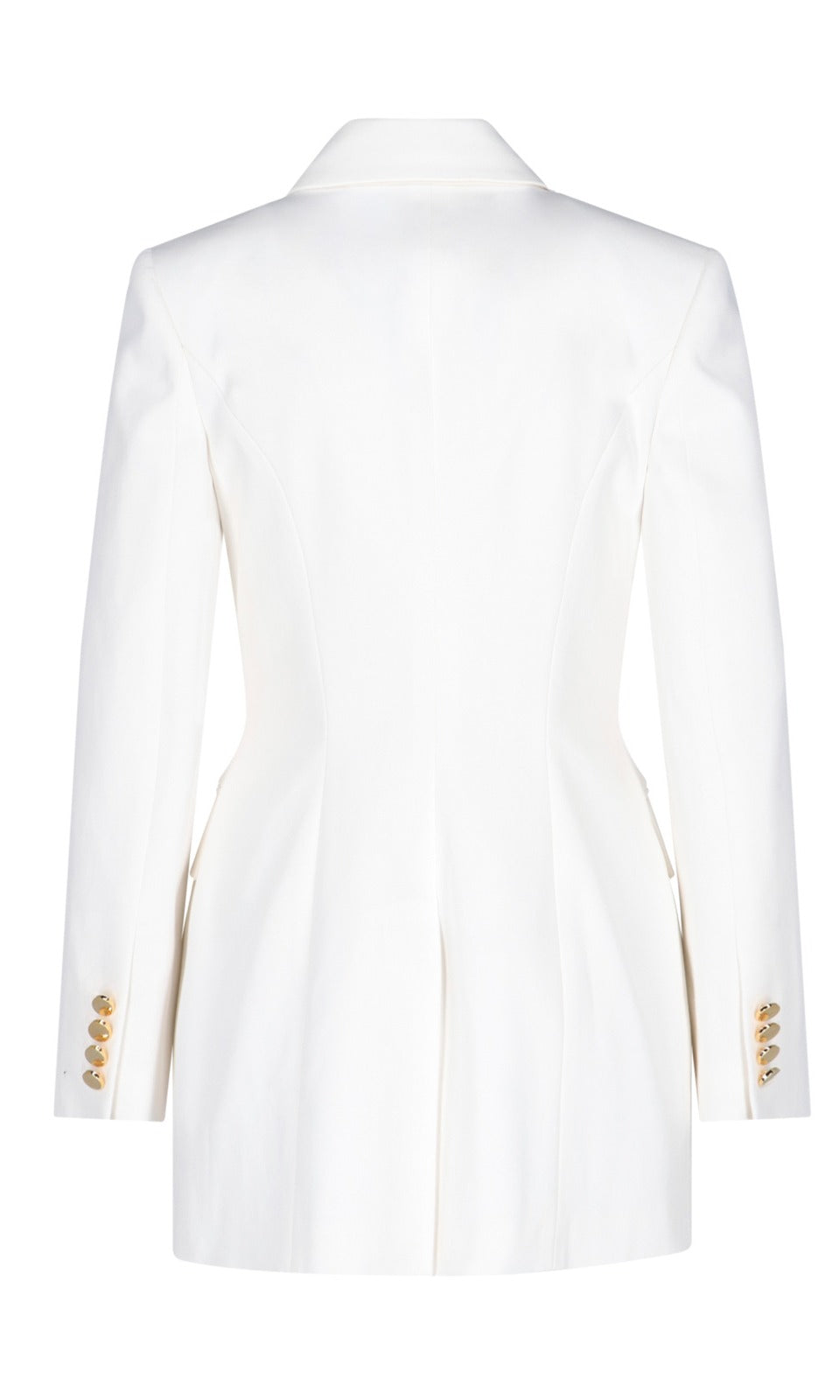 Alexander McQueen Double Breasted Buttoned Jacket