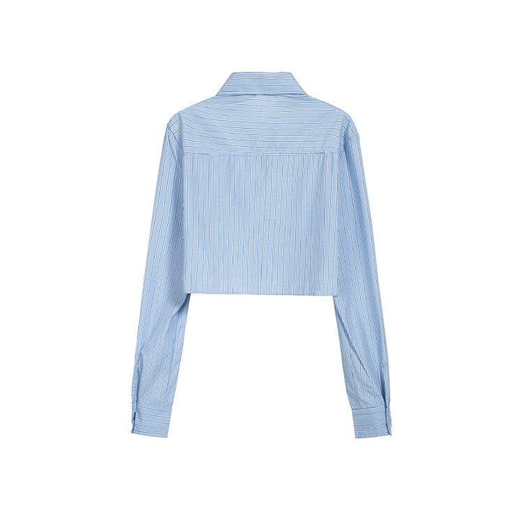 Blue Stripe Crop Shirt