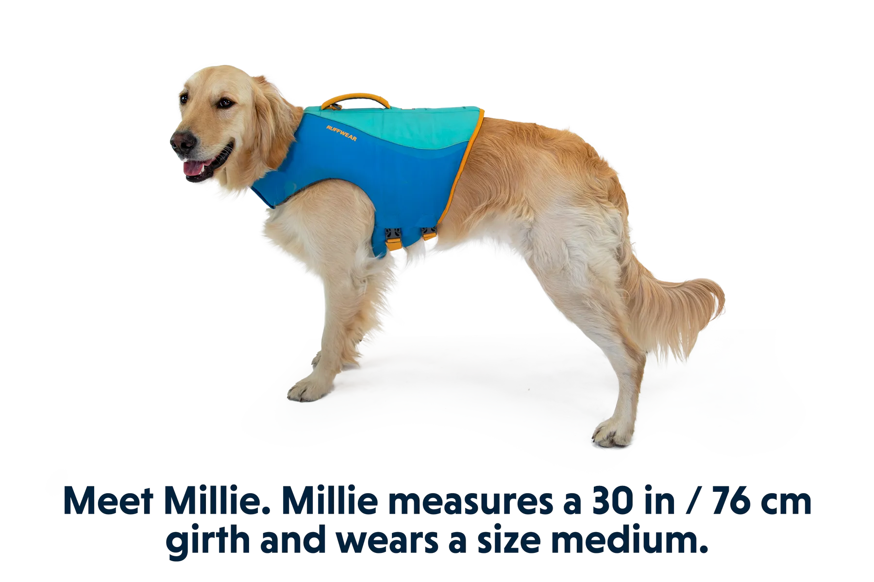 RP - Float Coat Dog Life Jacket