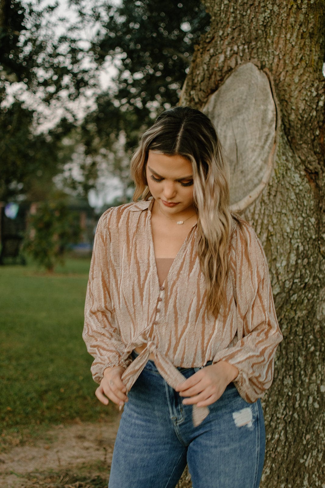 Taupe Collared Blouse